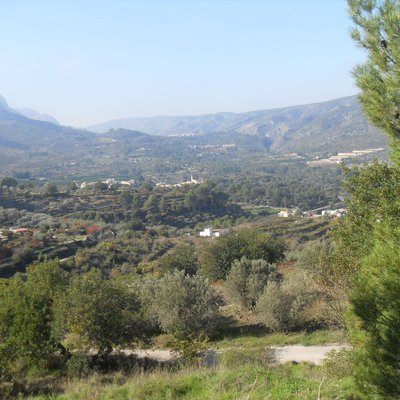 PARCELA EN LA MONTAÑA DE ALCALÁ DE LA JOVADA