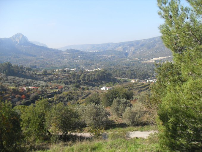 PARCELA EN LA MONTAÑA DE ALCALÁ DE LA JOVADA